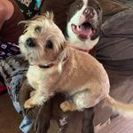 Vicki Hagan - @1956vickihagan - Instagram