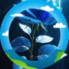 Vicki Hamilton - @vicki.hamilton89 - TikTok