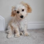 Vicki Hardman - @vicki.hardman.10 - Instagram