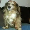 Vicki Vinci Hardman.  George - @vicki.vinci.hardm - TikTok