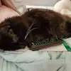 Vickie Hardman - @vickie.hardman1 - TikTok