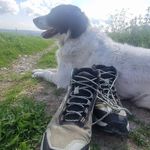 Vicki Harrison - @coatoncoatoffwetfeet - Instagram