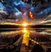Vicki Hendricks - Facebook