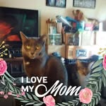 Vickie Henley - @vickie.henley.50 - Instagram