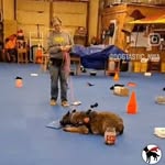 Vicki Henson Bouchillon - @frenchygurl56 - Instagram