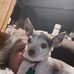 Vicki Herring - Facebook