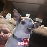 Vicki Herring - @vick.herring - Instagram