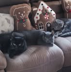 Vicki Hess - Facebook
