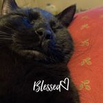 Vicki Hicks - @vicki.hicks.420 - Instagram