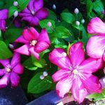 Vicki Hicks - @vicki.hicks.3785 - Instagram