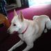 Vickie Higginbotham - Facebook