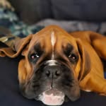 Victoria Higginbotham - @vickyhigg - Instagram