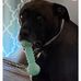 Vicki Hirsch - Facebook
