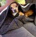 Vicki Hofacker - Facebook