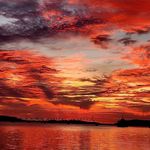 Vicki Brandt Holcomb - @holcomb2848 - Instagram