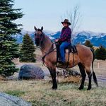 Vicki Holmberg - @vjholmberg - Instagram