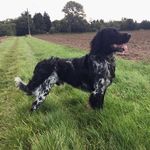 Vicki Holt - @vickiholt57 - Instagram