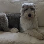 Vicki Holt - @vicki.holt.79 - Instagram