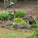 Vicki Hooper-Stephens Goins - @vdhsg1954 - Instagram