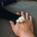 Vicki Horne - @vjhorne - Instagram