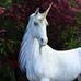 Vicki Hyatt - Facebook