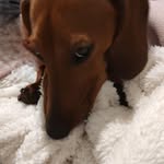 Vickie Baker-Hyatt - @bakerhyatt - Instagram