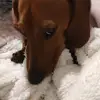 vickiebakerhyatt - @vickiebakerhyatt - TikTok