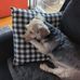 Vicki Jacoby - Facebook