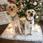 Vicki Reed Jacoby - @vickijacoby12 - Instagram