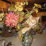 Vicki Jensen - @vicki.jensen.16568 - Instagram