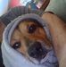 Vicky Keene - Facebook