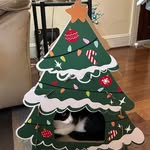 Vicki Weaver Keith - @vicki40092 - Instagram