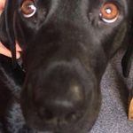 Vicki Kendall - @bunniehop20 - Instagram