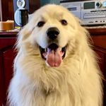 Vicki Kendall Bussey - @vicki.bussey - Instagram