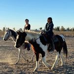 Vicki Chappelle Kimble - @kingscowgirl - Instagram