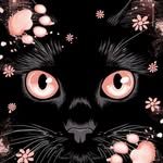 Vicky Kipp - @vickykipp - Instagram