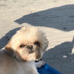 Vicki Howard Knott - @vhknott - Instagram