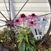 Vickie Krause - Facebook