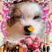 Vicki Langley - Facebook