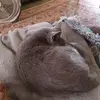 vickilangley87 - @vickilangley87 - TikTok