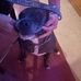 Vicki Laprad - Facebook