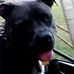 Vicki Laprad - Facebook