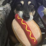 Vicki L Largen - @vickilargen - Instagram