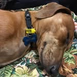 Vicki Laws - @laws6557 - Instagram