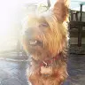 Vicki Le - @livinlauderdale - TikTok