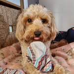 Vicky Leaver - @vickyleaver - Instagram