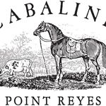 Vicki Leeds - @cabalinecountryemporium - Instagram