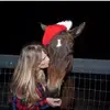 vickilemaster - @vickilemaster - TikTok