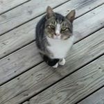 Vicki Leonard - @leonardvicki - Instagram