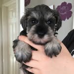 Vicki Levinson - @vicki.levinson - Instagram